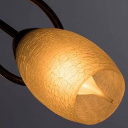 Потолочная люстра Arte Lamp Mutti  - 2